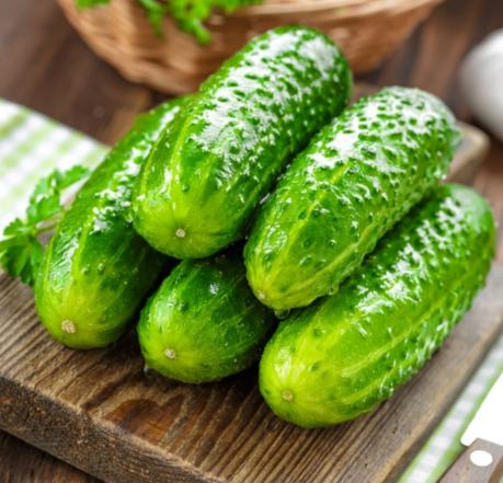 کیفیة الزراعة و الحصاد الخیار 