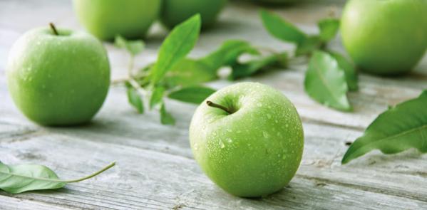 مزارع التجاریة لبیع  التفاح الأخضر