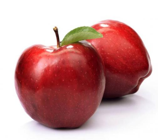 مصدری و تصدیر  التفاح العضوي
