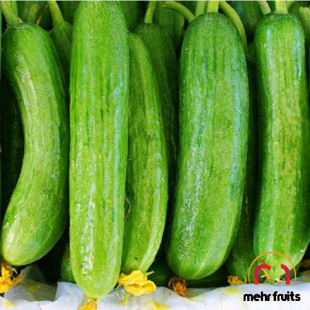 أسواق و متاجر بیع الخيار الطازج