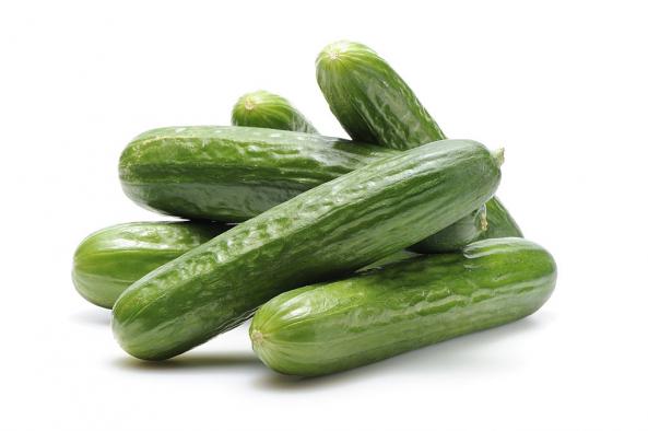 المناخ المناسبة لزراعة الخیار