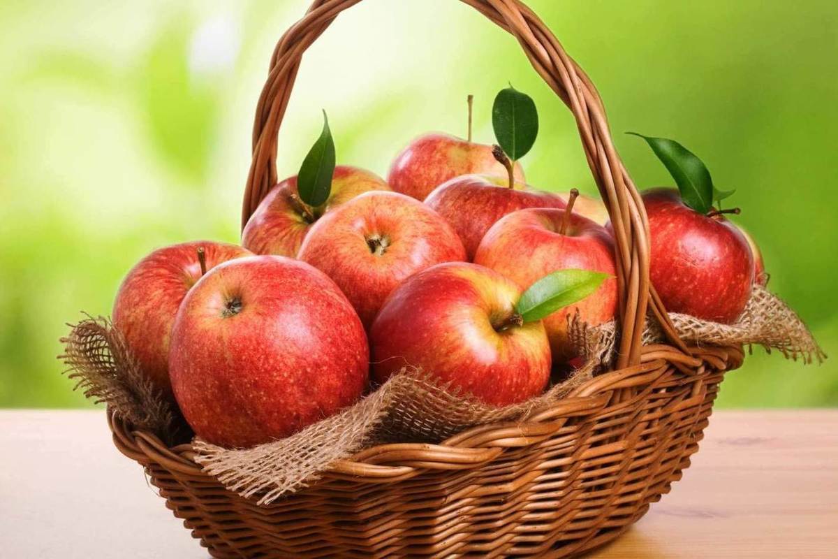 التفاح في اوكرانيا؛ الاخضر الاصفر الاحمر الكومبوت المربى بوتاسيوم فيتامينات A C