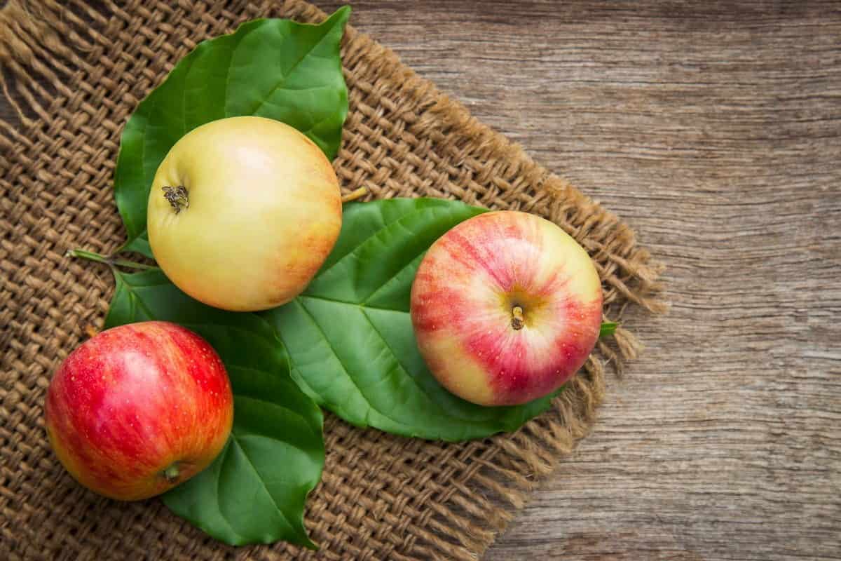 التفاح في الصين؛ الاصفر الاخضر الاحمر حلو الفيتامينات الأملاح المعدنية