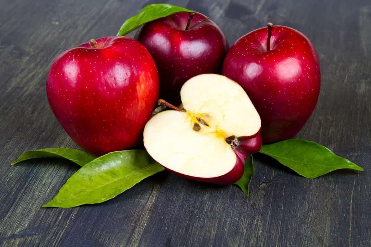 التفاح الأحمر اليوم؛ طريًا عصيرًا تقوي جهاز المناعة مناطق معتدلة Vitamin C